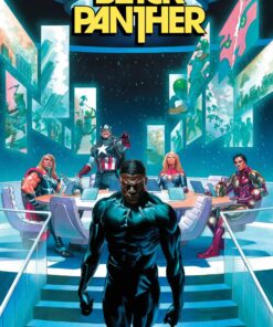 BLACK PANTHER #12 | Queen City Comic Book Store, New Comic Releases, Latest Comics and Collectibles, Recent Releases, Comic Books, Comic Bookstore online, Comic Bookstore near me, queencitybook.com