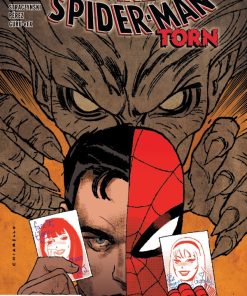 AMAZING SPIDER-MAN: TORN #2